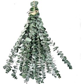 20 PCS Dried Eucalyptus for Shower Bundle, 17'' Real Large Preserved Eucalyptus Stems Shower Plants for Hanging, Fresh Eucalyptus Leaves, Fragrance, DIY Artificial Plant, Home SPA Bathroom Vase decor.