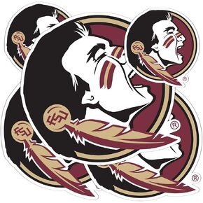 Desert Cactus Florida State University Stickers Seminoles FSU Vinyl Decals Laptop Water Bottle Car Scrapbook T3 (Type 3-2)