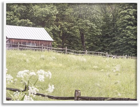 Stupell Industries Rural Country Cottage Grassland Field Framed Wall Art, Design by Sue Schlabach in Saudi Arabia