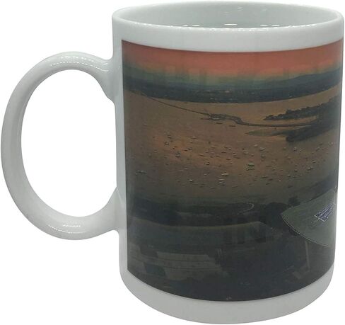 Color Changing! NCAA ThermoH Exray Ceramic Coffee Mugs (Boise State Broncos) Multicolor in Saudi Arabia