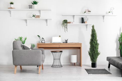 Two 3 Foot Outdoor Artificial Cedar Trees Potted Plants in Saudi Arabia