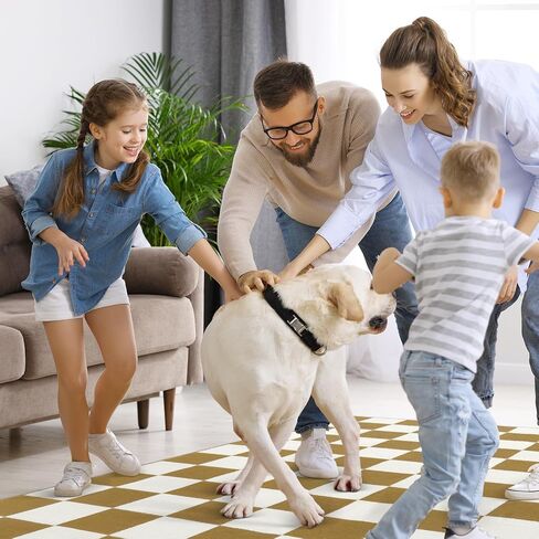 Lahome Checkered 3x5 Black and White Rug, Modern Black Rug for Living Room Classroom Cotton Woven Aesthetic Bathroom Rug, Boho Checkerboard Washable Rug Low Pile Floor Carpet for Office Bedroom in Saudi Arabia