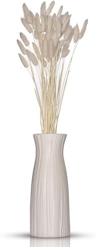 60 Stems Natural Dried Lagurus Ovatus Flowers |Real Bouquet with Rabbit Tail Dried Pampas Flowers | Decoration for Photography Hotel Home & Wedding Décor Floral Arrangements (White) | 45cm Large in Saudi Arabia