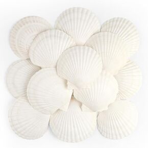 48 PCS Scallop Shells Natural Seashell, 1.5" to 2" White Scallop Shells Small Seashells for Crafts Wedding Decor Beach Theme Party, Fish Tank and Vase Filler
