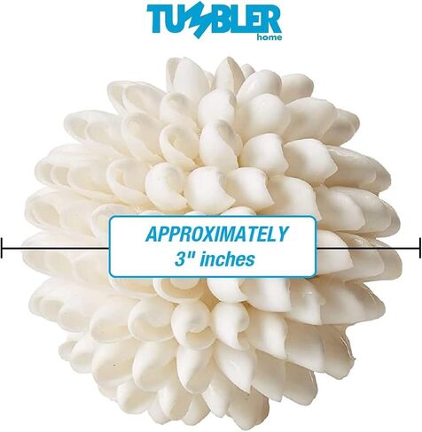 كرات ديكور من الصدف الحقيقي من Tumbler Home - عرض 7.62 سم ​​- حشو أوعية تزيين للديكور الساحلي - ديكور منزل الشاطئ - عبوتان in Kuwait