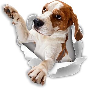 Winston & Bear 3D Cat Stickers - 2 Pack - Hopeful Beagle Decals for Wall - Stickers for Bedroom - Fridge - Toilet - Room - Retail Packaged
