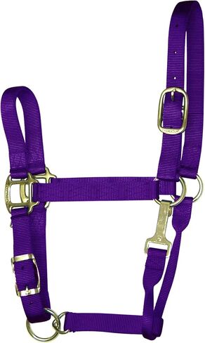 Hamilton 11-16 1 Nylon Adjustable Quality Horse Halter with Snap, Large, for Horses 1100 to 1600 lbs., Berry in Saudi Arabia