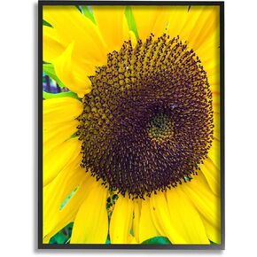 Stupell Industries Close Up Yellow Sunflower Florets Botanical Nature Framed Wall Art, Design By Heidi Bannon