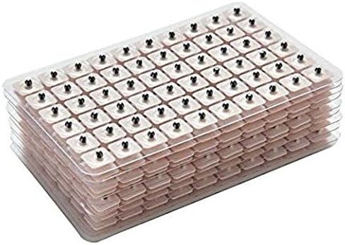 600 قطعة من بذور ضغط الأذن للاستعمال مرة واحدة من روزينيس، مجموعة الضغط الإبري لبذور الأذن من فاكاريا فاكاريا، مجموعة الضغط الإبري لبذور الأذن متعددة الحالات (10 ورقات) in Kuwait