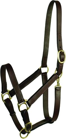 Gatsby Adj Turnout Leather Halter No Snap in Kuwait
