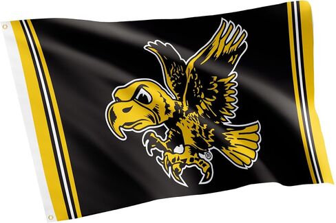 Desert Cactus University of Iowa Flag Hawkeyes Flag Banners 100% Polyester Indoor Outdoor 3x5 feet Flags (Vintage A) in Saudi Arabia