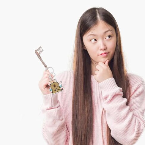 TAKENE 9 قطعة سلسلة مفاتيح من الكرتون لطيف المفاتيح كابيبارا Kawaii المفاتيح مجموعة حلقة رئيسية سلسلة مفاتيح مصنوعة من الأكريليك زينة الكرتون in Kuwait