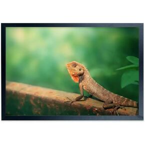 Poster Frames 17x23inch Solid Wood Picture Frame Black for 17x23 Poster and Photo Frames, including hanging hardware (F22B1723)