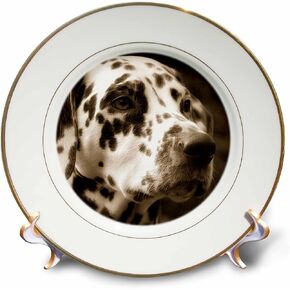 3dRose cp_150163_1 Sepia Toned Photography of a Dalmatian Dog Porcelain Plate, 8-Inch