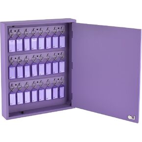 Acrimet Key Cabinet Organizer 24 Positions with Lock (Wall Mount) (24 Purple Tags Included) (Purple Cabinet)