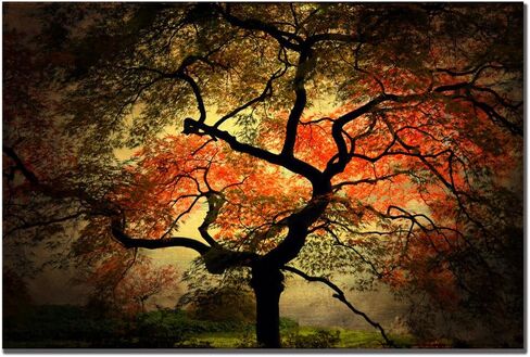 Japanese I by Philippe Sainte-Laudy, 30x47-Inch Canvas Wall Art in Saudi Arabia