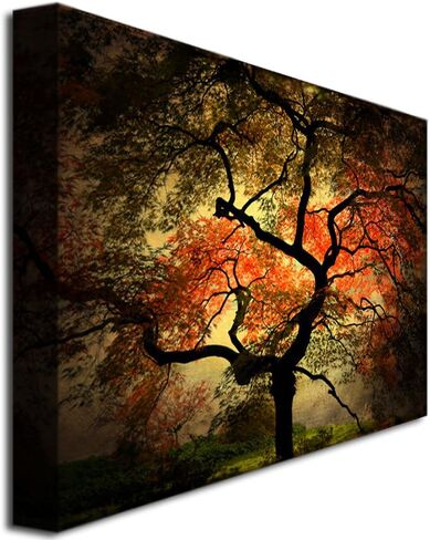 Japanese I by Philippe Sainte-Laudy, 30x47-Inch Canvas Wall Art in Saudi Arabia