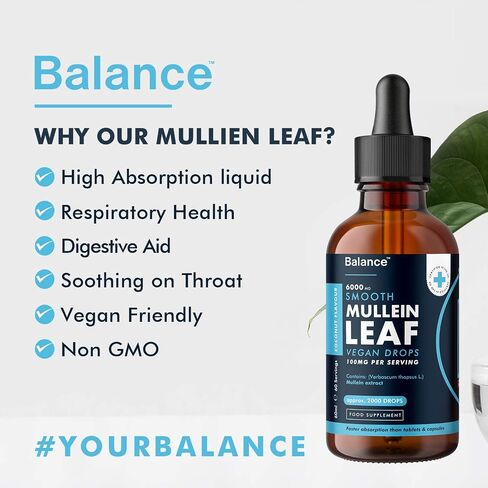 Balance Mullein Leaf Liquid Drops - 60ml 2 Month Supply 6000mg per Bottle - Sublingual Fast Absorption - GMO Free - Premium Quality - Made in UK in Saudi Arabia