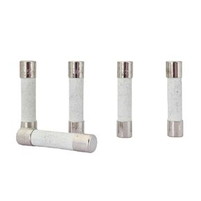 5PCS 10A 250V Slow Blow Ceramic Fuses T10AH250V 6x30mm 10 amp 250Volts Fuse 0.24 x1.18 Inch Time Delay Cartridge Tube Fuse UL Listed (5)