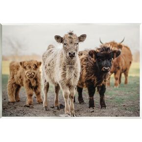 Stupell Industries Baby Calves on Farm Wall Plaque Art by Dakota Diener