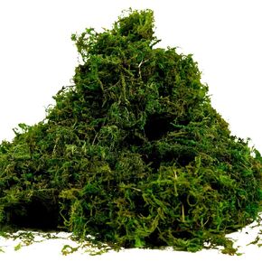Farmoo Fake Moss for Crafts, Artificial Green Moss for Potted Plants Centerpieces Decor (3.5OZ)