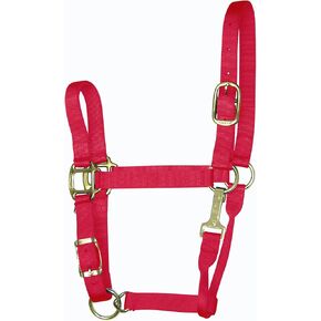 Hamilton 11-16 1 Nylon Adjustable Quality Horse Halter with Snap, Large, for Horses 1100 to 1600 lbs., Berry