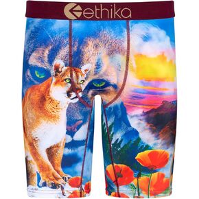 Ethika Mens Staple Boxer Brief | Packed Up