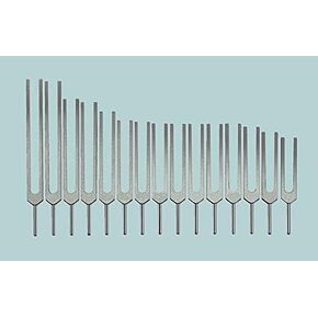 Human Organ Tuning Fork Set