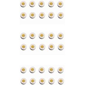 HPS Sujok Therapy Acupressure Chakra (Small) Magnets (Set of 30)