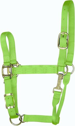 Hamilton 11-16 1 Nylon Adjustable Quality Horse Halter with Snap, Large, for Horses 1100 to 1600 lbs., Berry in Saudi Arabia