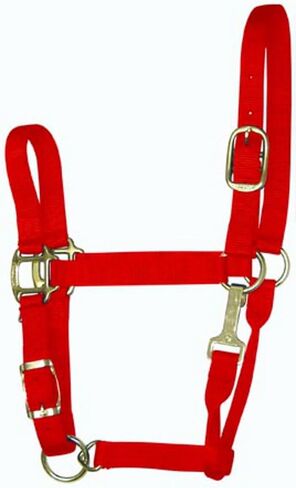 Hamilton 11-16 1 Nylon Adjustable Quality Horse Halter with Snap, Large, for Horses 1100 to 1600 lbs., Berry in Saudi Arabia