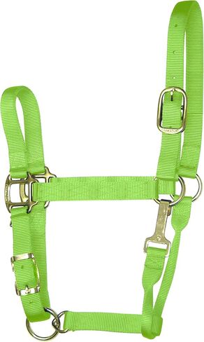Hamilton 11-16 1 Nylon Adjustable Quality Horse Halter with Snap, Large, for Horses 1100 to 1600 lbs., Berry in Saudi Arabia