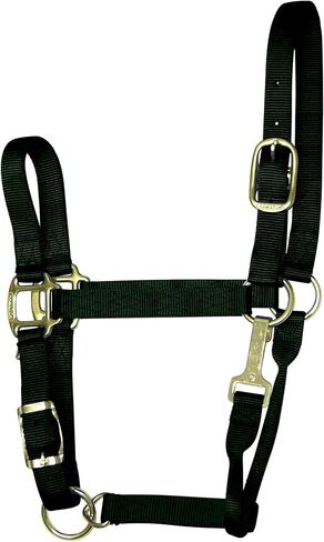Hamilton 11-16 1 Nylon Adjustable Quality Horse Halter with Snap, Large, for Horses 1100 to 1600 lbs., Berry in Saudi Arabia