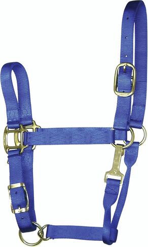 Hamilton 11-16 1 Nylon Adjustable Quality Horse Halter with Snap, Large, for Horses 1100 to 1600 lbs., Berry in Saudi Arabia