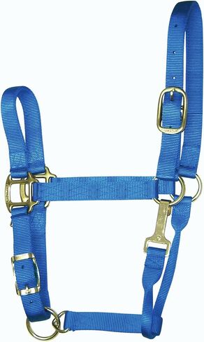 Hamilton 11-16 1 Nylon Adjustable Quality Horse Halter with Snap, Large, for Horses 1100 to 1600 lbs., Berry in Saudi Arabia