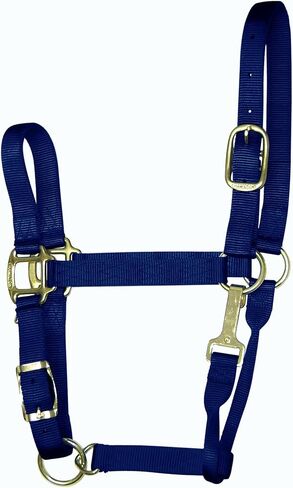 Hamilton 11-16 1 Nylon Adjustable Quality Horse Halter with Snap, Large, for Horses 1100 to 1600 lbs., Berry in Saudi Arabia