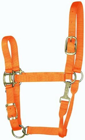 Hamilton 11-16 1 Nylon Adjustable Quality Horse Halter with Snap, Large, for Horses 1100 to 1600 lbs., Berry in Saudi Arabia