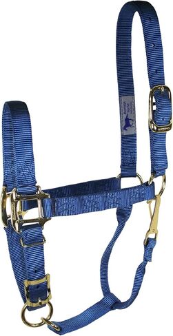 Hamilton 11-16 1 Nylon Adjustable Quality Horse Halter with Snap, Large, for Horses 1100 to 1600 lbs., Berry in Saudi Arabia