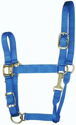 Hamilton 11-16 1 Nylon Adjustable Quality Horse Halter with Snap, Large, for Horses 1100 to 1600 lbs., Berry in Saudi Arabia