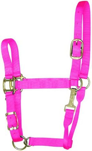 Hamilton 11-16 1 Nylon Adjustable Quality Horse Halter with Snap, Large, for Horses 1100 to 1600 lbs., Berry in Saudi Arabia