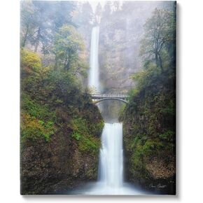 Stupell Industries Waterfall Bridge Photography Canvas Wall Art by David Drost