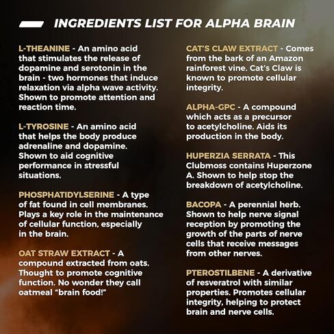 ONNIT Alpha Brain Premium Nootropic Brain Supplement - Caffeine-Free Focus Capsules for Concentration, Brain Booster & Memory Support - Cat's Claw, Bacopa, Oat Straw (30ct 2-pack) in Kuwait