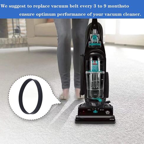 أحزمة المكنسة الكهربائية متوافقة مع Bissell Style 7 9 10 12 14 1831 2486 2259 PN 3031123 3031120 32074 203-1093 حزام بديل (عبوتان) in Kuwait