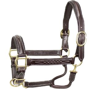 Derby Originals American Elite Fancy Stitch Padded Adjustable Halter