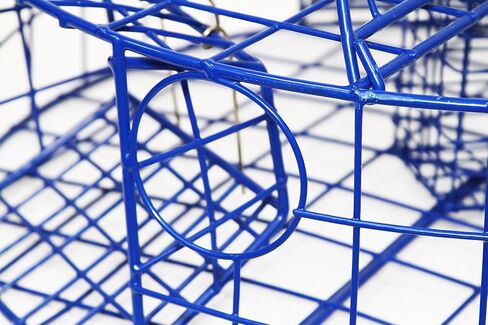 وعاء سرطان البحر عالي التحمل من برومار TR-530، أزرق، 30 بوصة in Kuwait