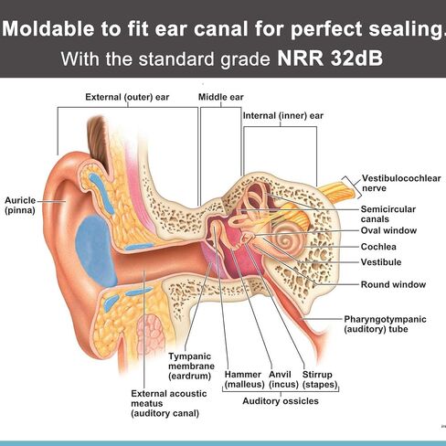 Ear Plugs for Sleeping Noise Cancelling, Reusable Silicone Soft Moldable Waterproof Sound Blocking Earplugs for Swimming, Snoring, Working, Airplanes, Shooting, Musicians, 32dB Highest NRR Blue in Saudi Arabia