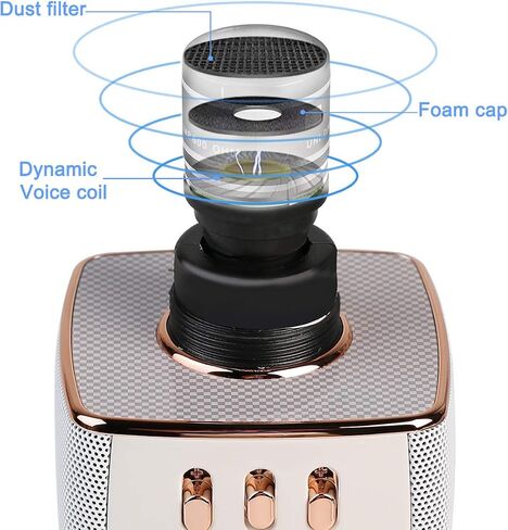 2x13w Cardioid Dynamic Karaoke Microphone, Handheld Wireless Bluetooth Karaoke Systems Karaoke Microphone for Home/Outdoor/Party/Classroom/Car (Rosegold) in Saudi Arabia