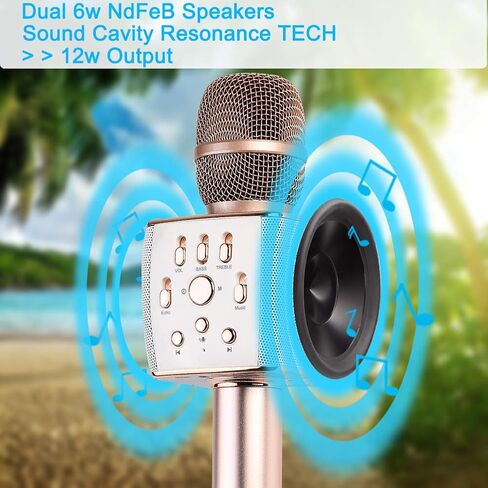 2x13w Cardioid Dynamic Karaoke Microphone, Handheld Wireless Bluetooth Karaoke Systems Karaoke Microphone for Home/Outdoor/Party/Classroom/Car (Rosegold) in Saudi Arabia
