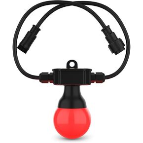 CHAUVET DJ LED Lighting (Festoon 2 RGB)