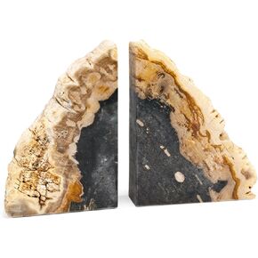 KALIFANO Petrified Wood Bookends Set - Real Natural Fossilized Wood Book End - Unique Stone & Crystal Home Decor (Family Owned & Operated)